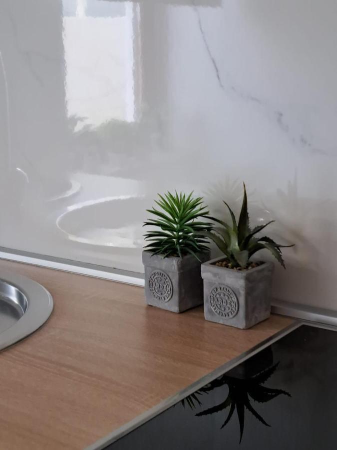 Ocean Apartman 耶塞尼采 外观 照片